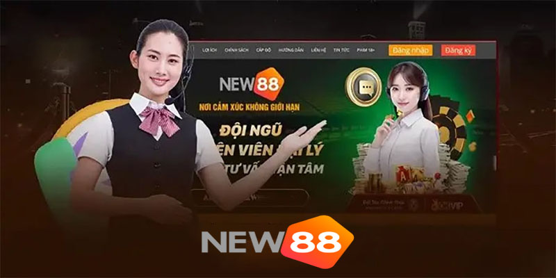 Tầm quan trọng của dịch vụ hỗ trợ New88